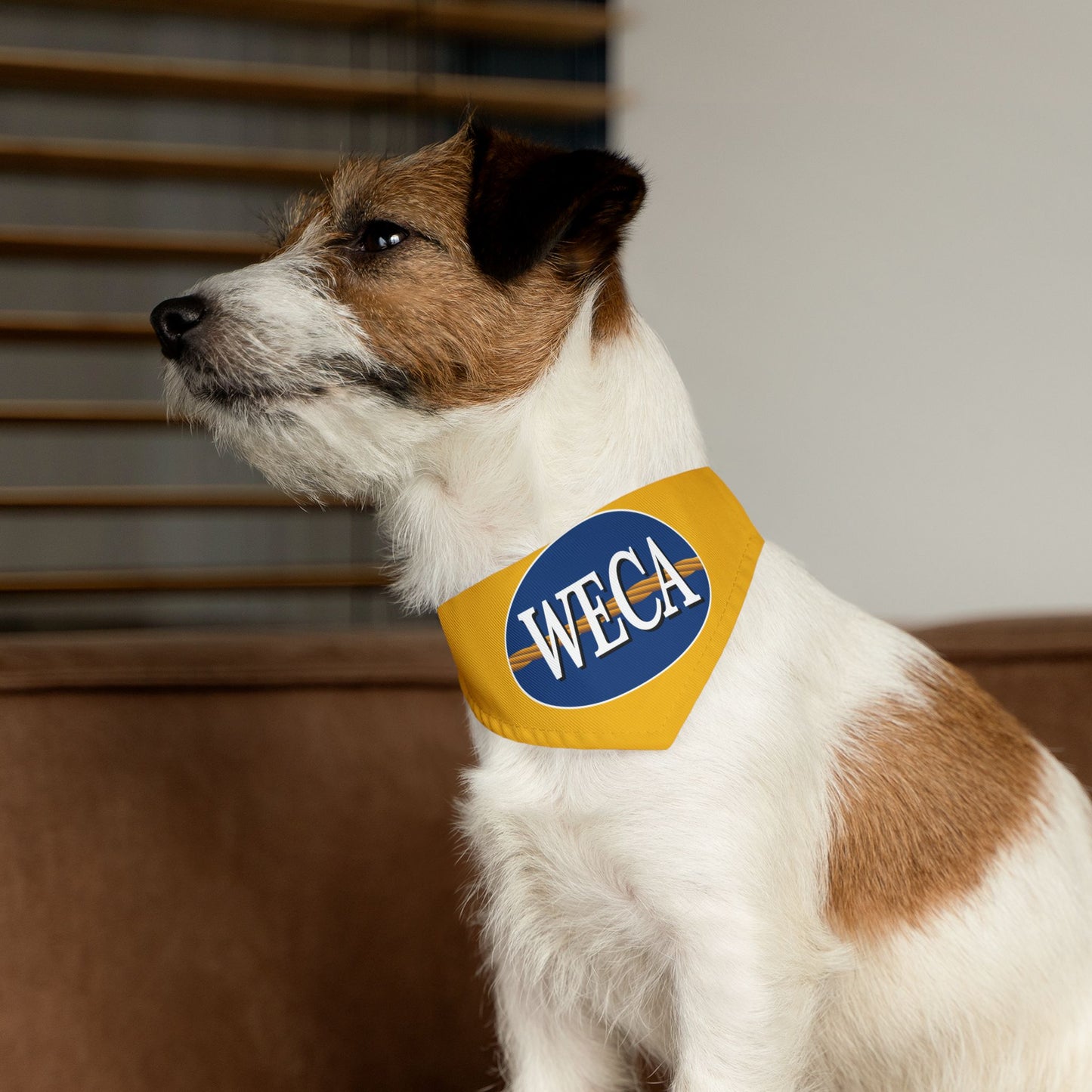 WECA Classic Logo Pet Bandana Collar