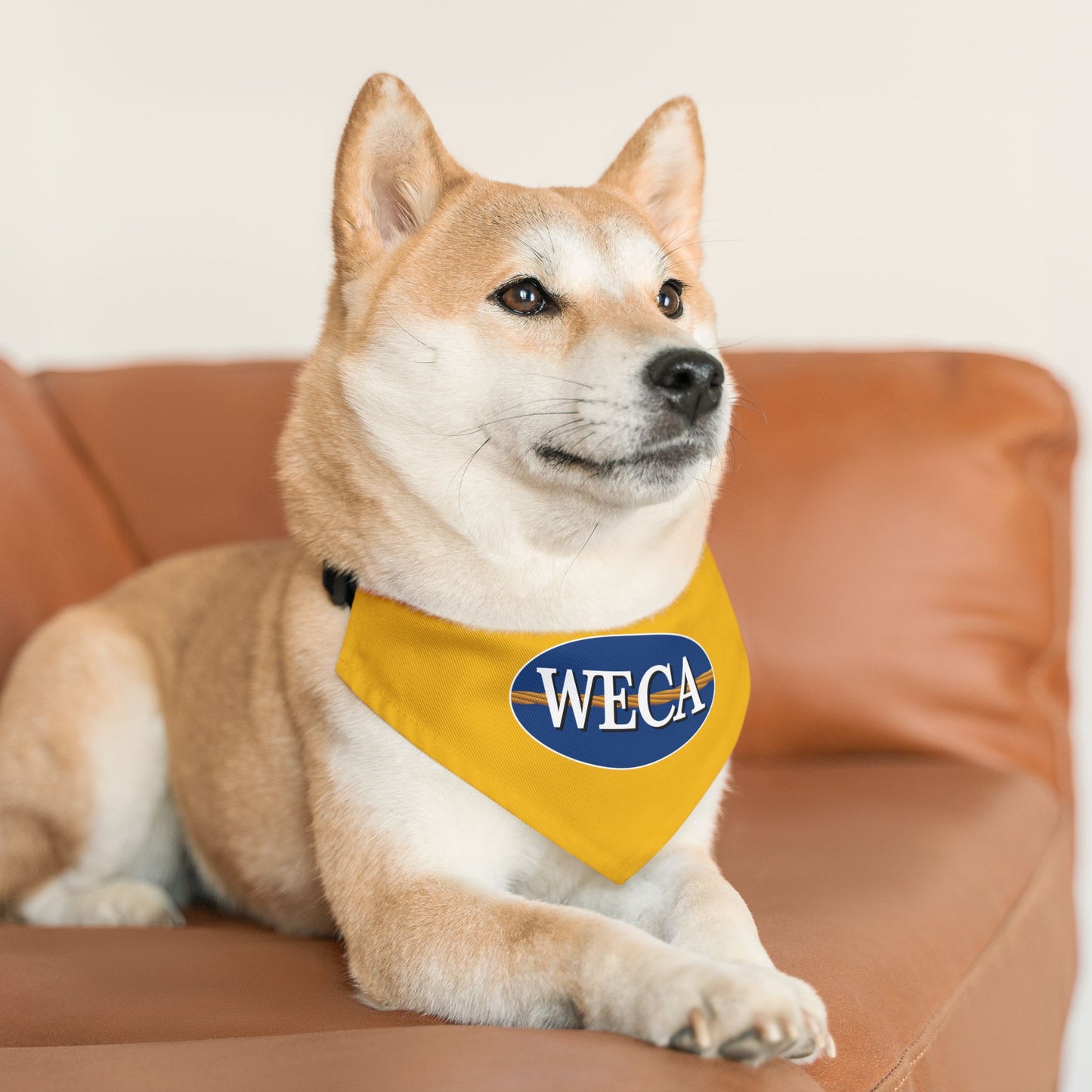 WECA Classic Logo Pet Bandana Collar