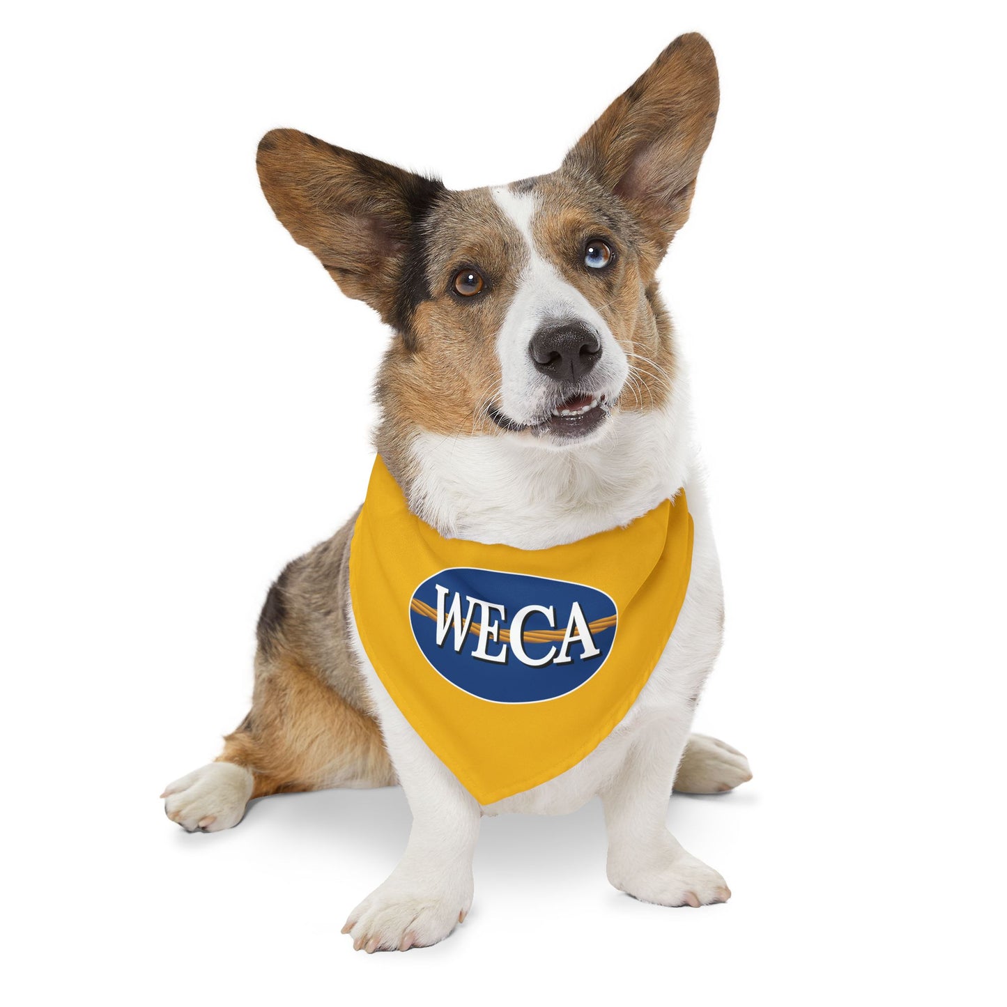 WECA Classic Logo Pet Bandana Collar