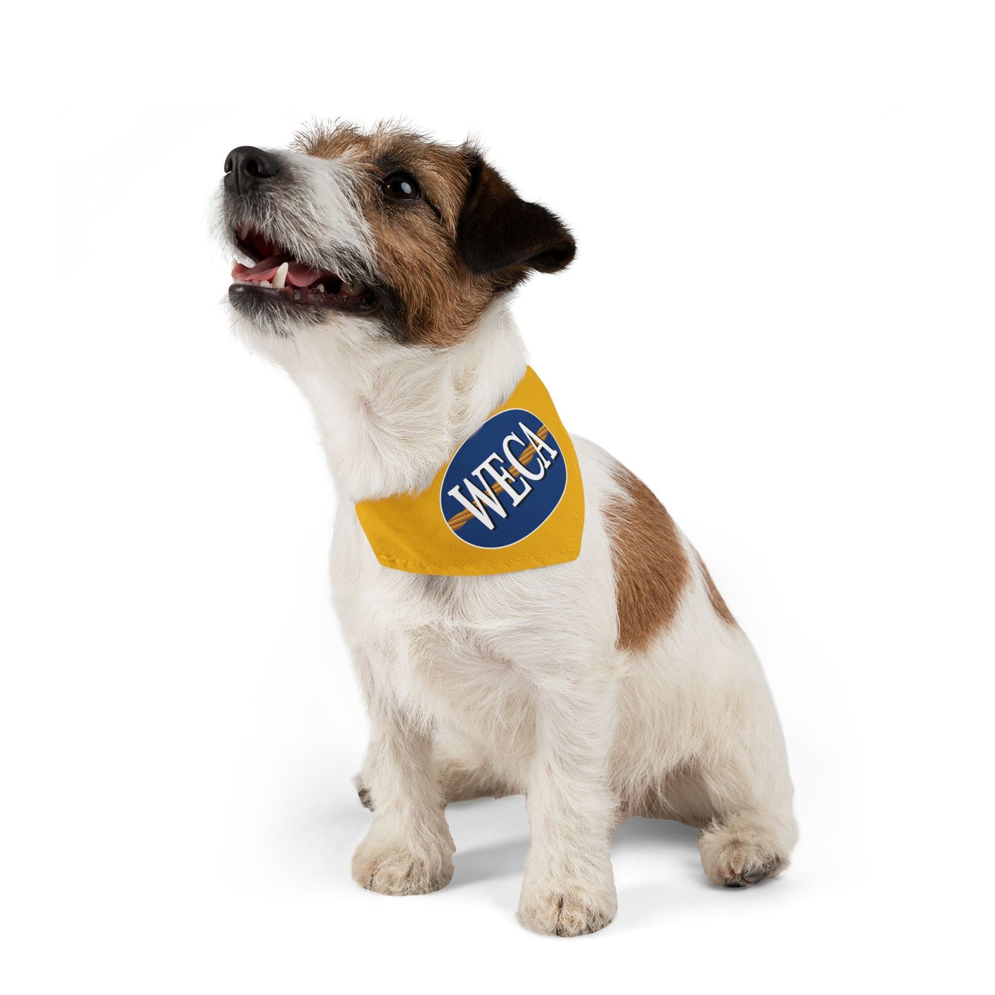 WECA Classic Logo Pet Bandana Collar