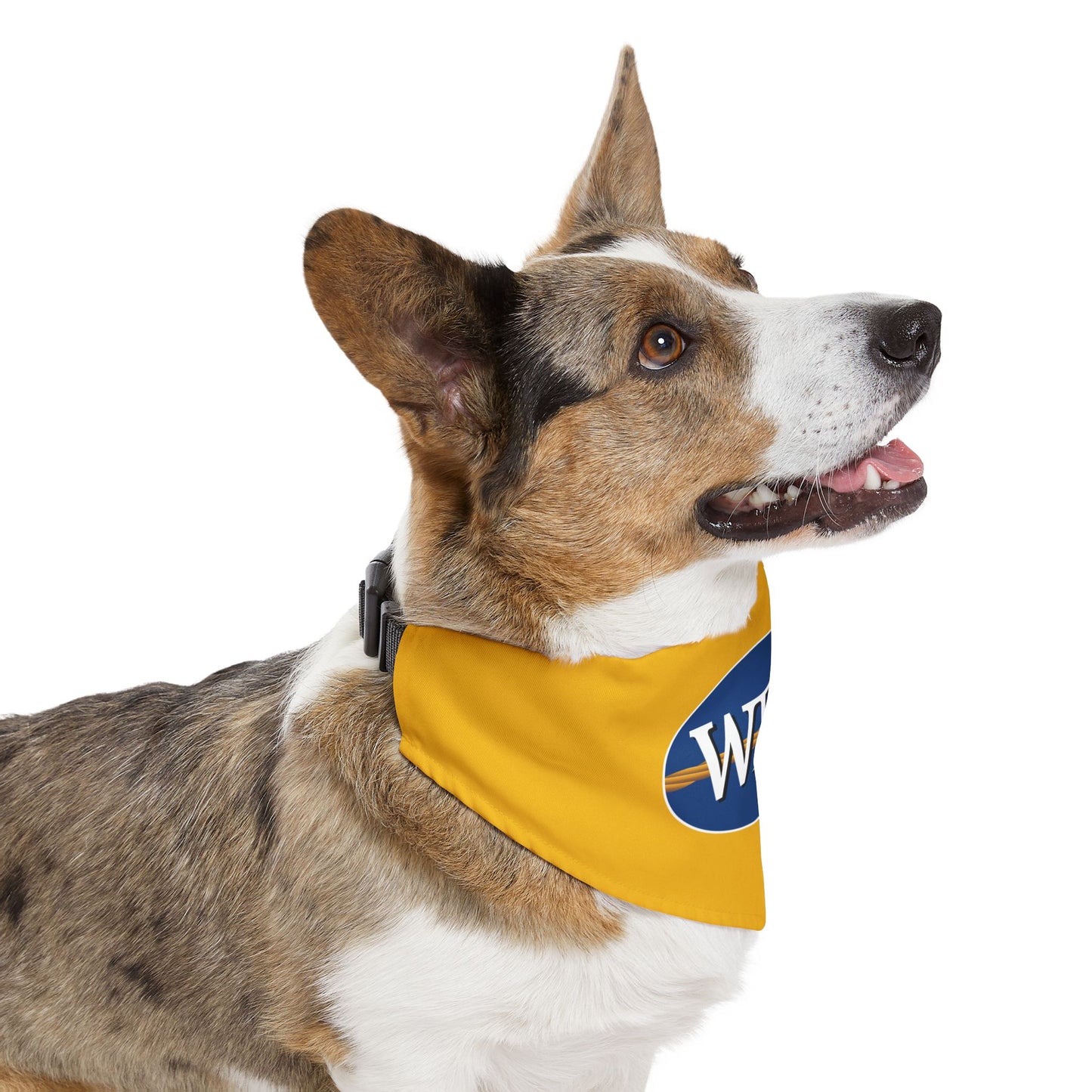 WECA Classic Logo Pet Bandana Collar